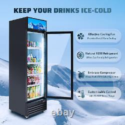 23 12.8 CF ETL Commercial Merchandiser Glass Door Cooler Display Refrigerator