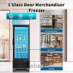 27'' Commercial Glass Door Freezer Merchandiser Frozen Display 19.2 Cu. Ft ETL