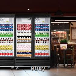 56 W Merchandiser Commercial Display Refrigerator 2 Glass Door Reach-In ETL