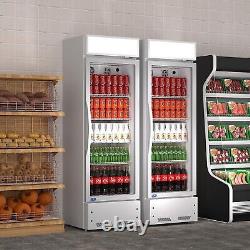8 Cu. Ft Commercial Glass Door Merchandiser Beverage Refrigerator Display Cooler