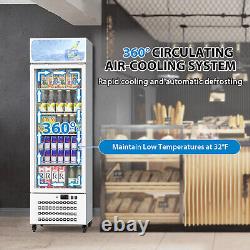 Commercial Beverage Display Refrigerator Merchandiser Drink Fridge 11.5Cu. Ft