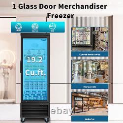 Glass 1 Door Merchandiser Freezer Upright Commercial Frozen Display 19.2 Cu. Ft