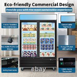 Glass 2 Door Merchandiser Freezer Commercial Frozen 44.7 Cu. Ft with LED Lighting