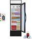 Merchandiser Commercial Glass Door Beverage Refrigerator Display Cooler 8 Cu. Ft